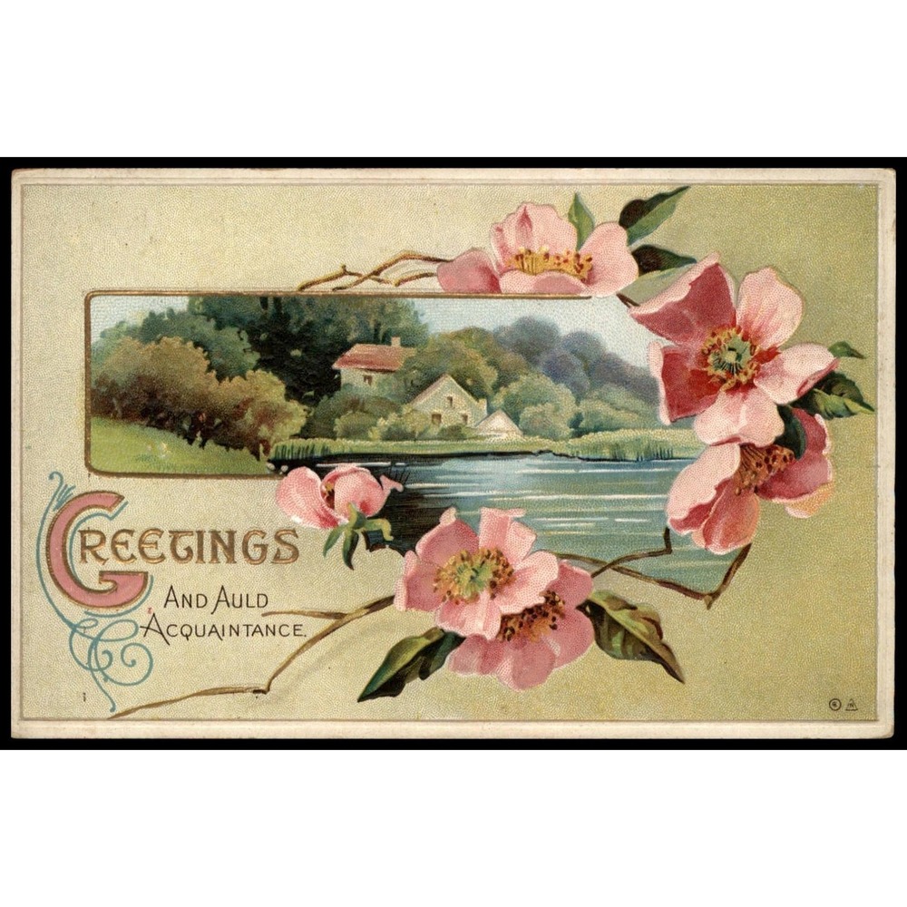 Vintage Div Back Greetings 'And Auld Acquaintance' Color Postcard 5.5x3.5